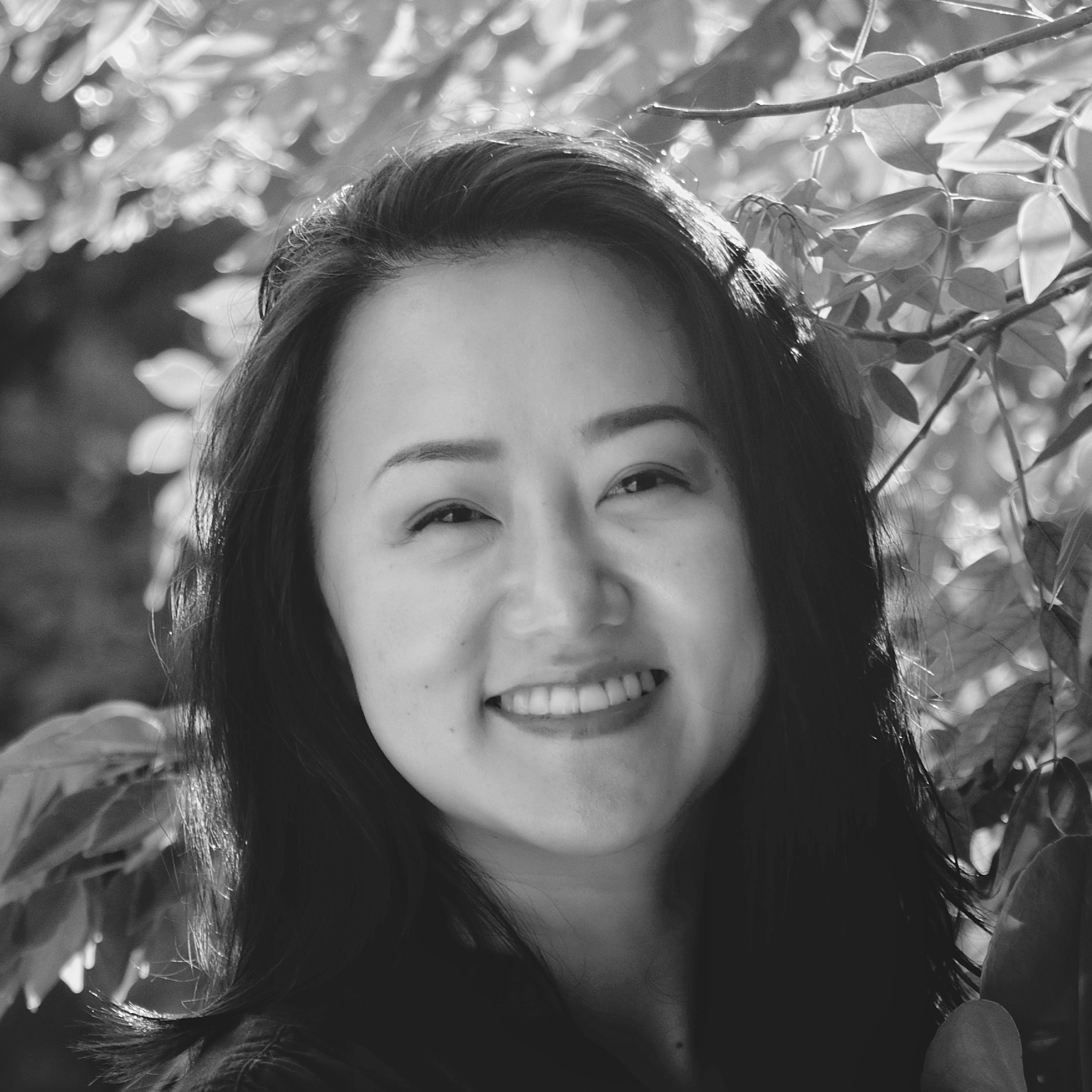 successful partner of a new zealander resident visa work visa application 